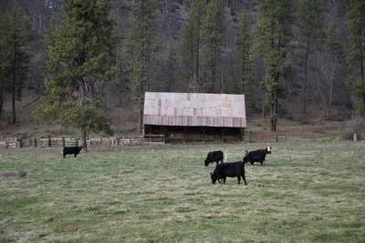 DSC_0043 (Large).JPG